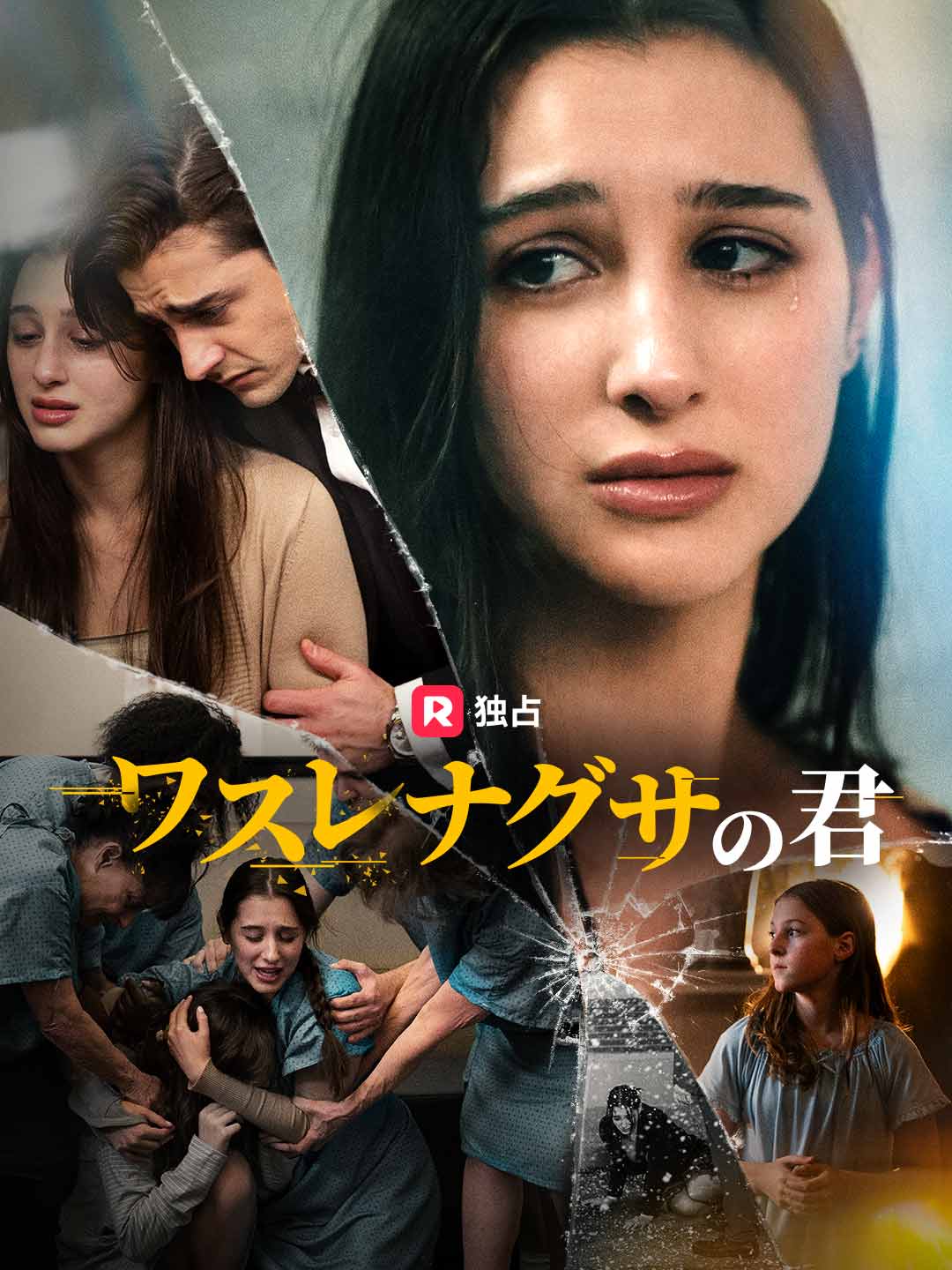 ワスレナグサの君