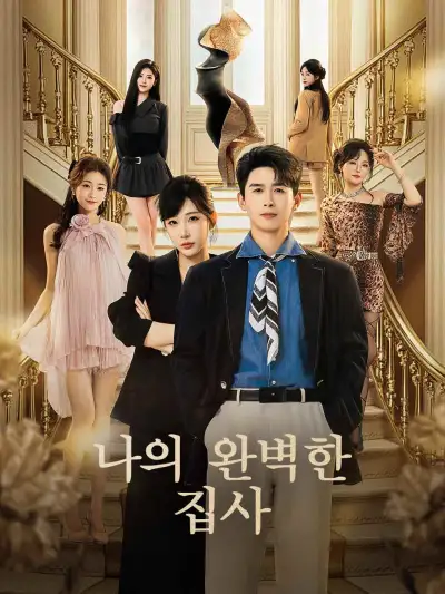 나의 완벽한 집사 poster