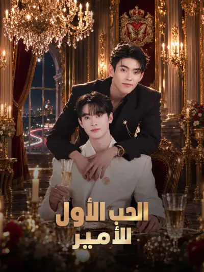 الحب الأول للأمير poster