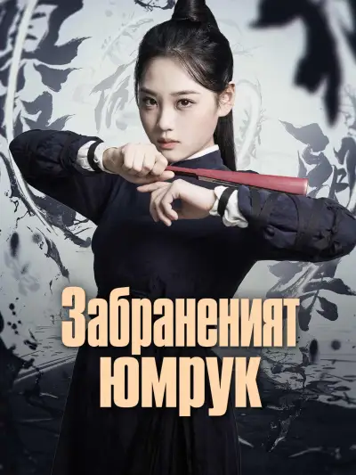 Забраненият юмрук poster