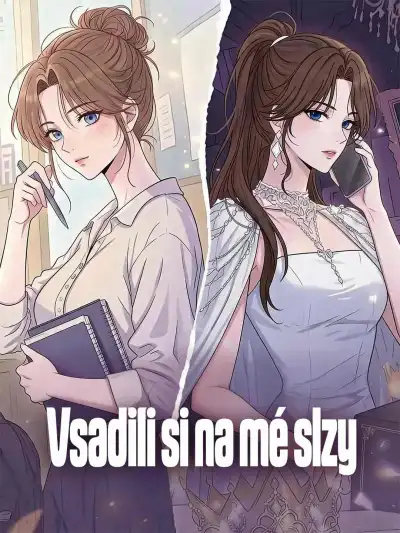Vsadili si na mé slzy poster