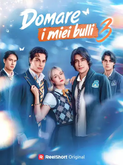 Domare i miei bulli 3 poster