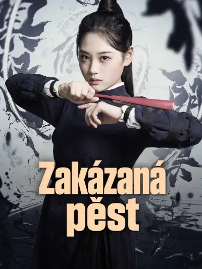 Zakázaná pěst poster