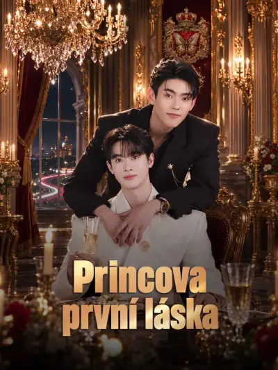 Princova první láska poster