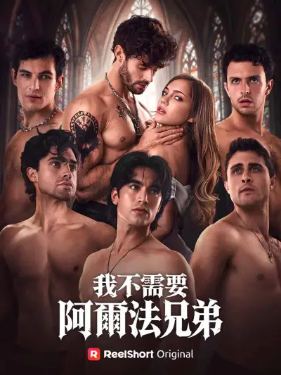 我不需要阿爾法兄弟 poster