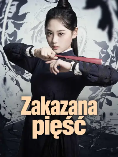 Zakazana pięść poster