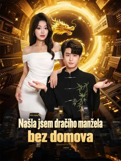 Našla jsem dračího manžela bez domova poster