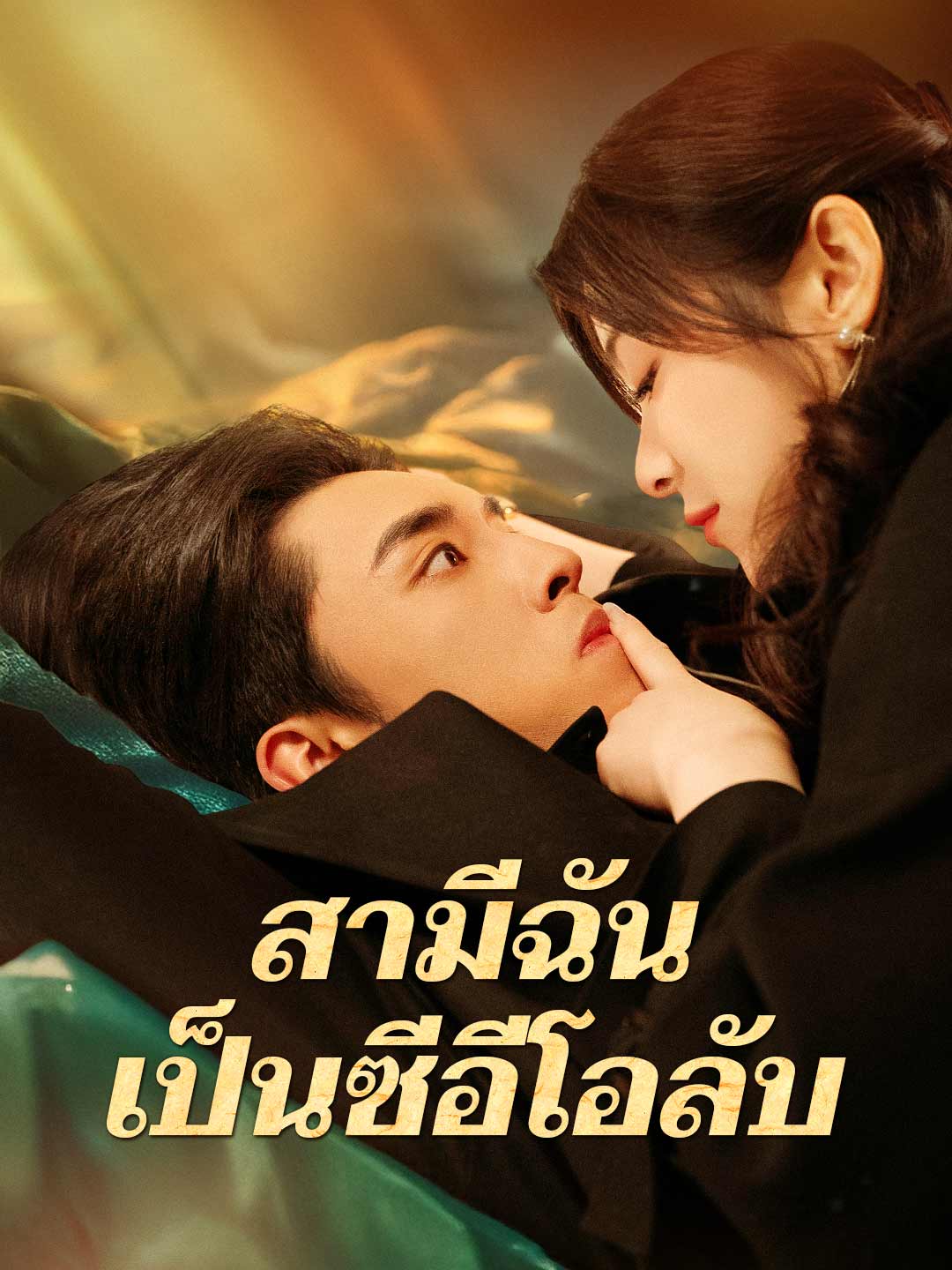 สามีฉันเป็นซีอีโอลับ