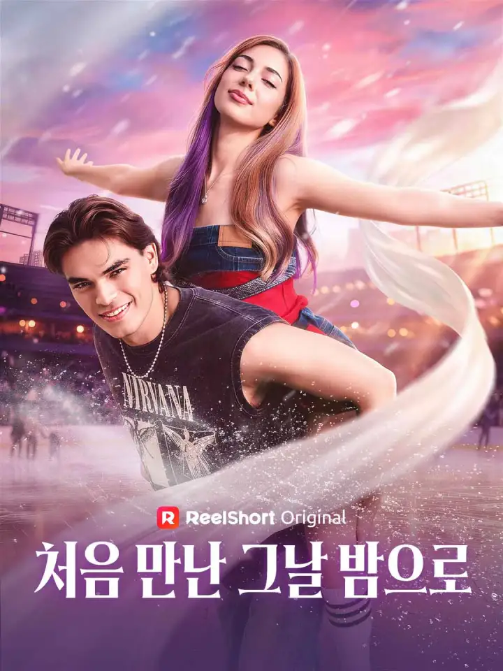 처음 만난 그날 밤으로 poster