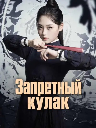 Запретный кулак poster