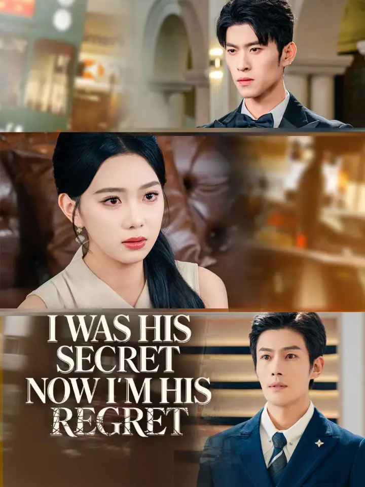 I Was His Secret. Now I’m His Regret. poster