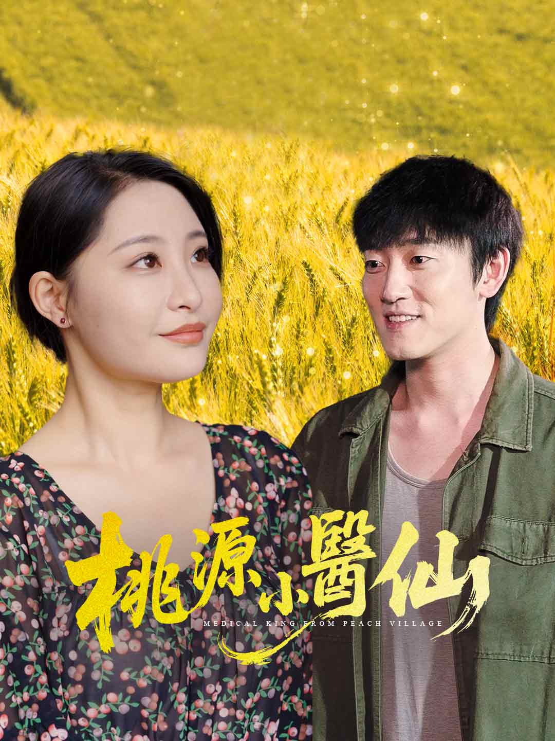 桃源小醫仙
